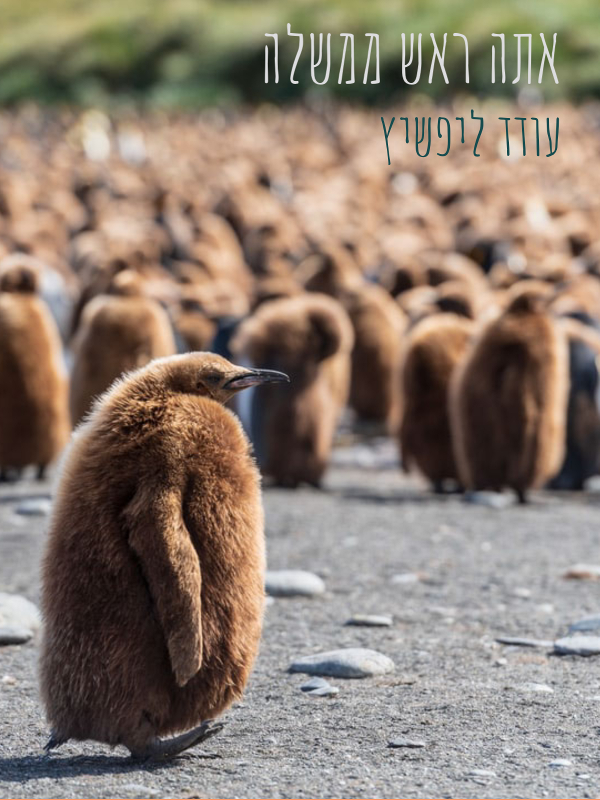 You Are Prime Minister